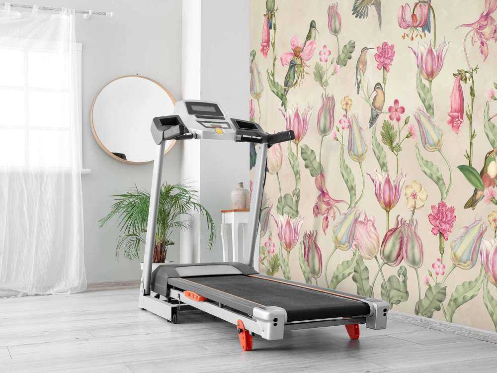 Sinfonia di Tulipani Colibrì