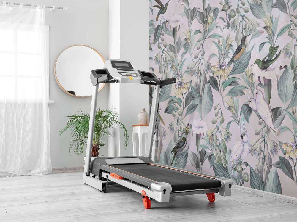 Canto degli uccelli eterei - Eleganza attenuata