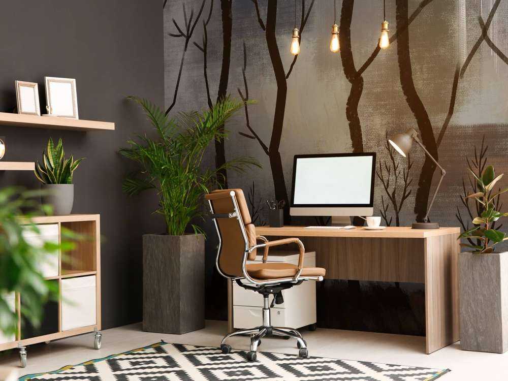 Silenzio del Tramonto Foresta dei Cervi