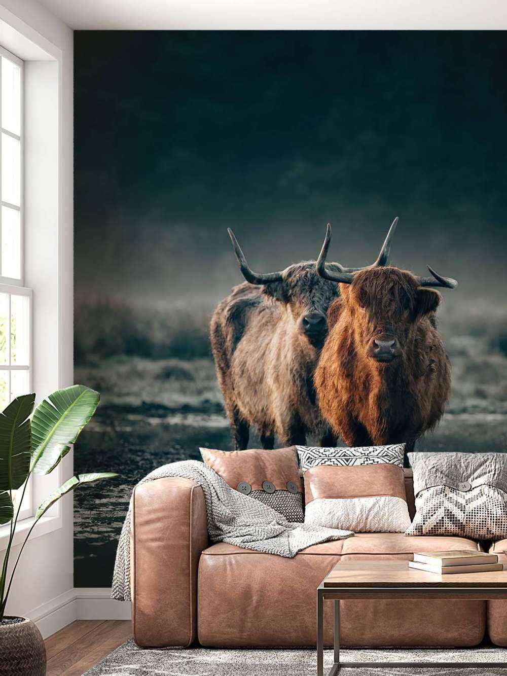 Coppia di Highlander