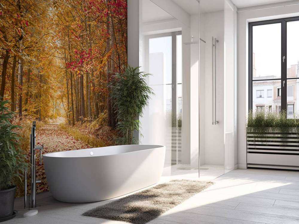 Pathway through Autumn forest