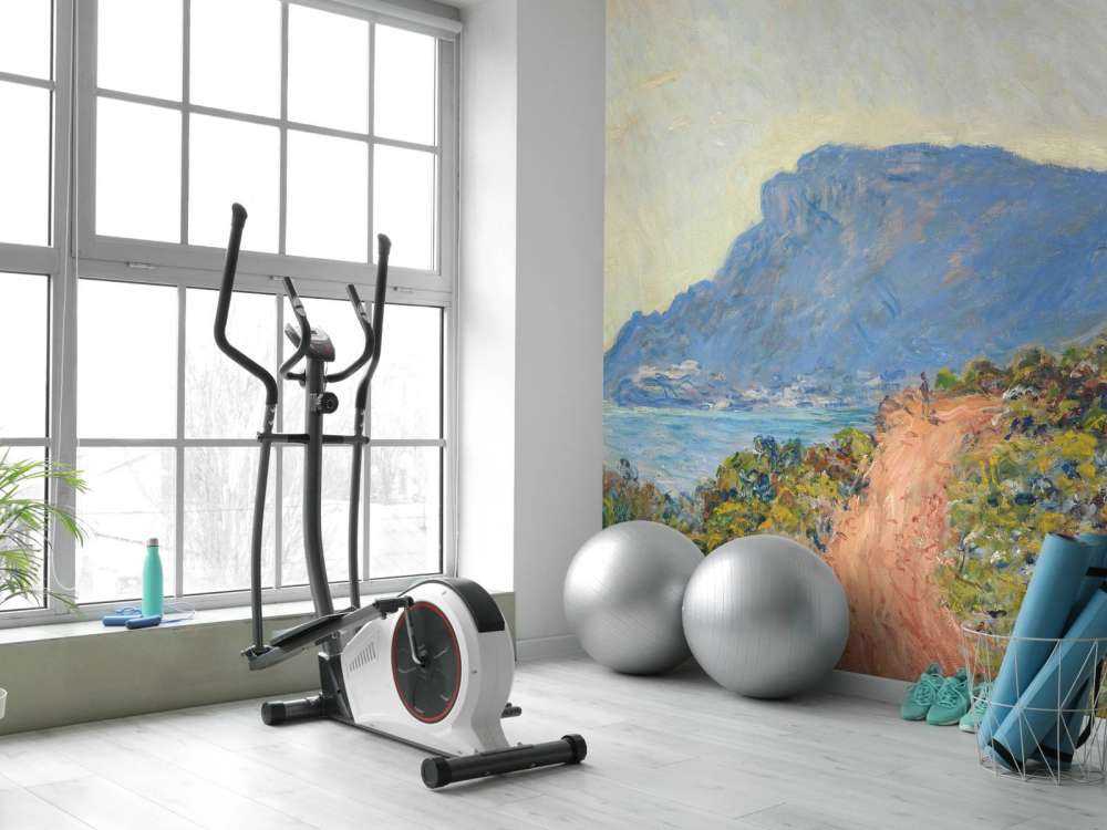 La Corniche vicino a Monaco