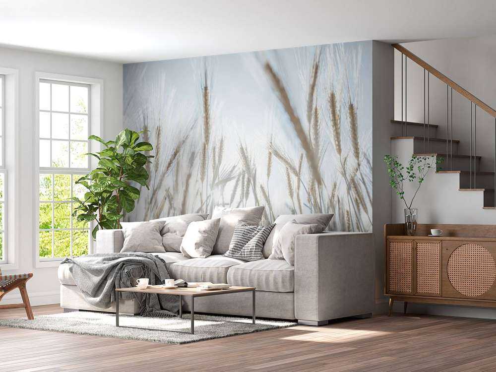 Raggi di sole attraverso il grano