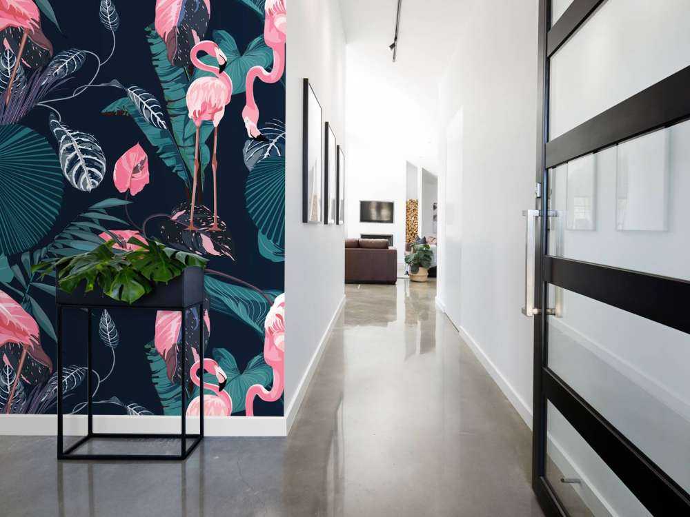 Fenicotteri rosa selvatici