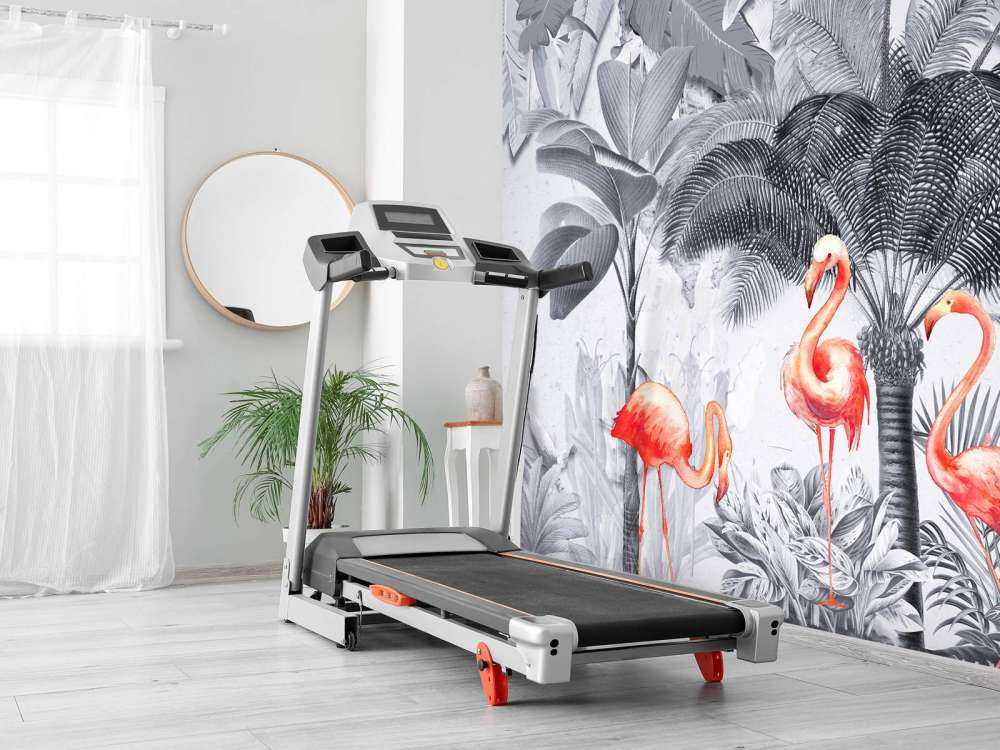 Giungla con fenicotteri