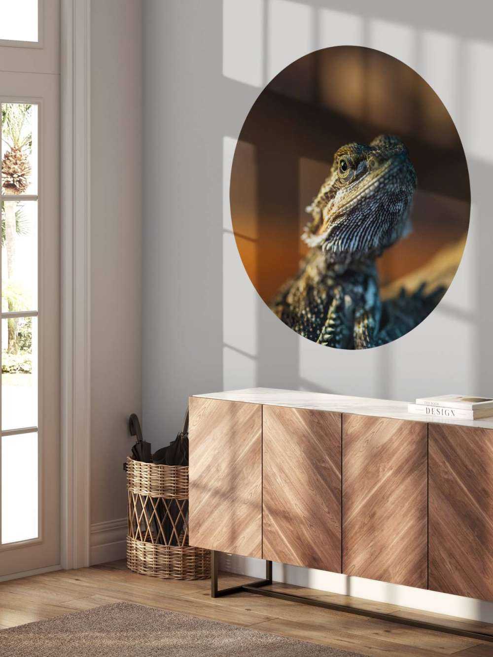 Camaleonte ravvicinato