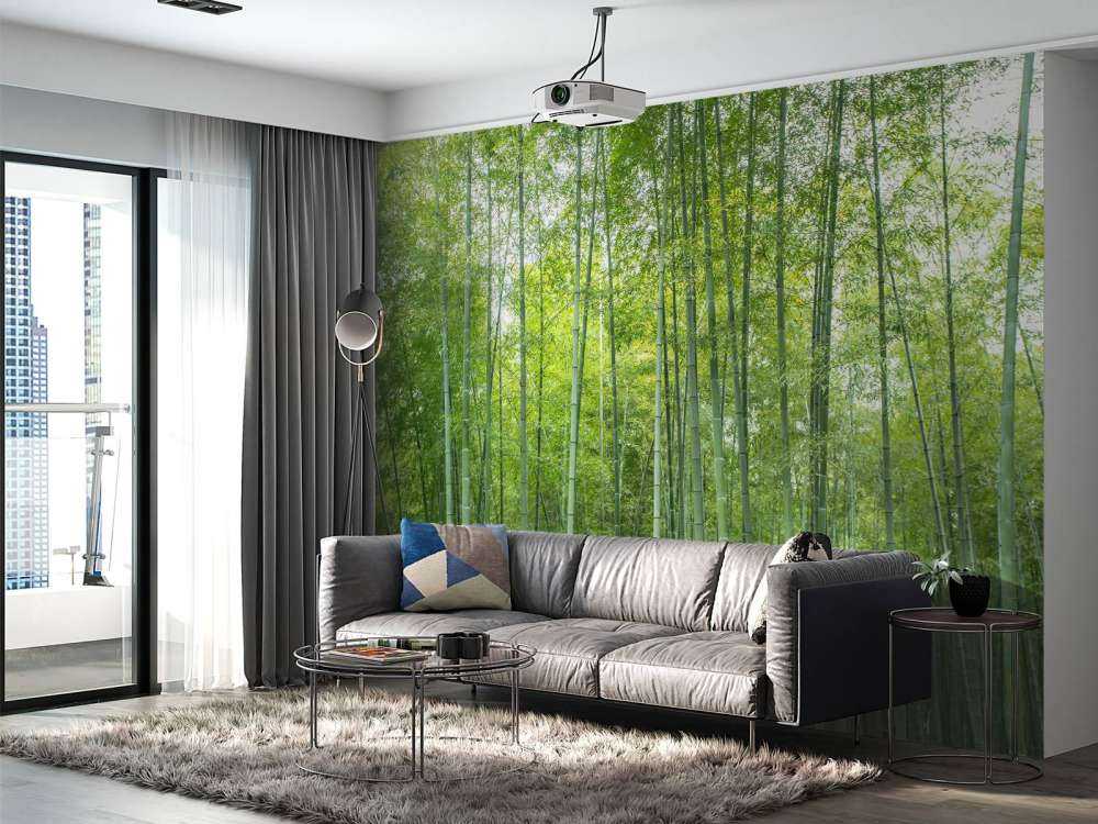 Foresta di bambù verde