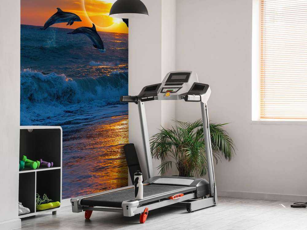 Delfini con tramonto