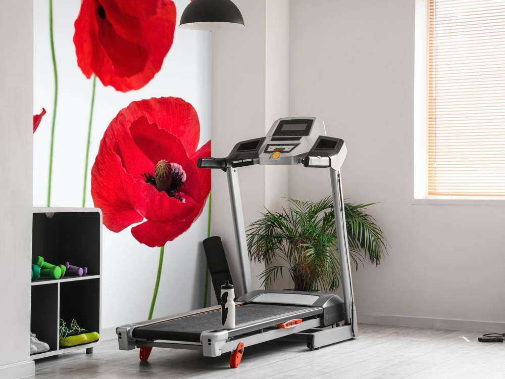 Papaveri su sfondo bianco