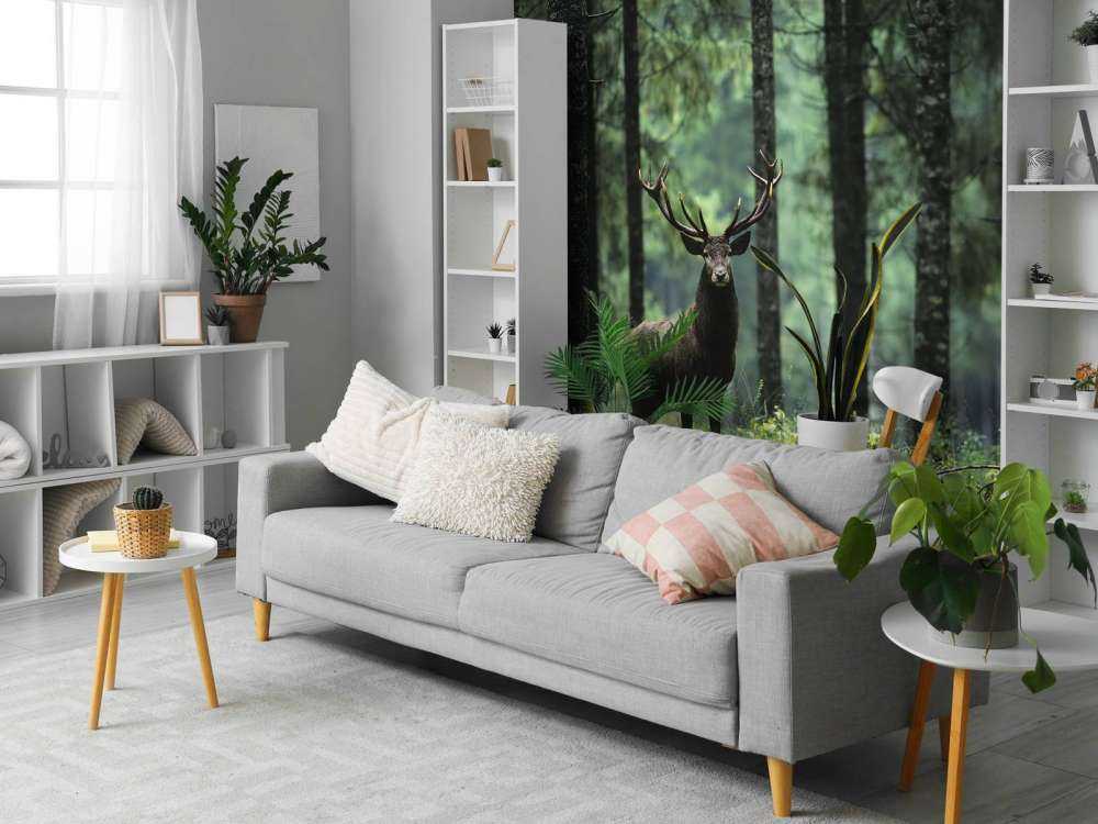 Grande cervo tra gli alberi