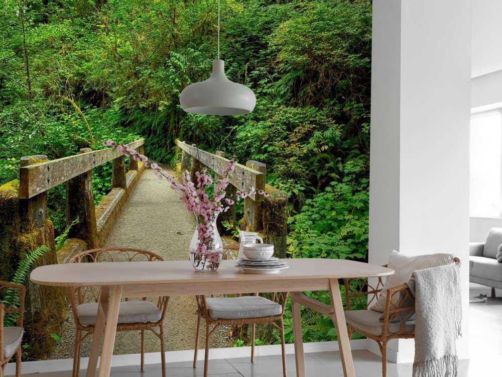 Un ponte nella foresta