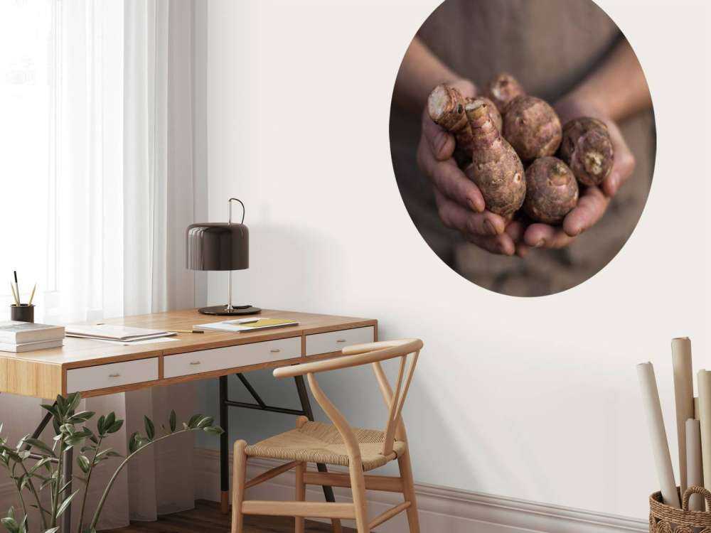 Prodotti della terra