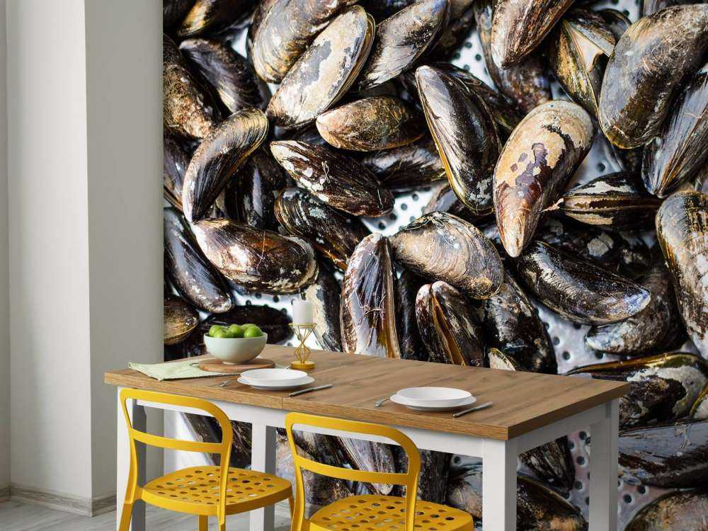 Cozze