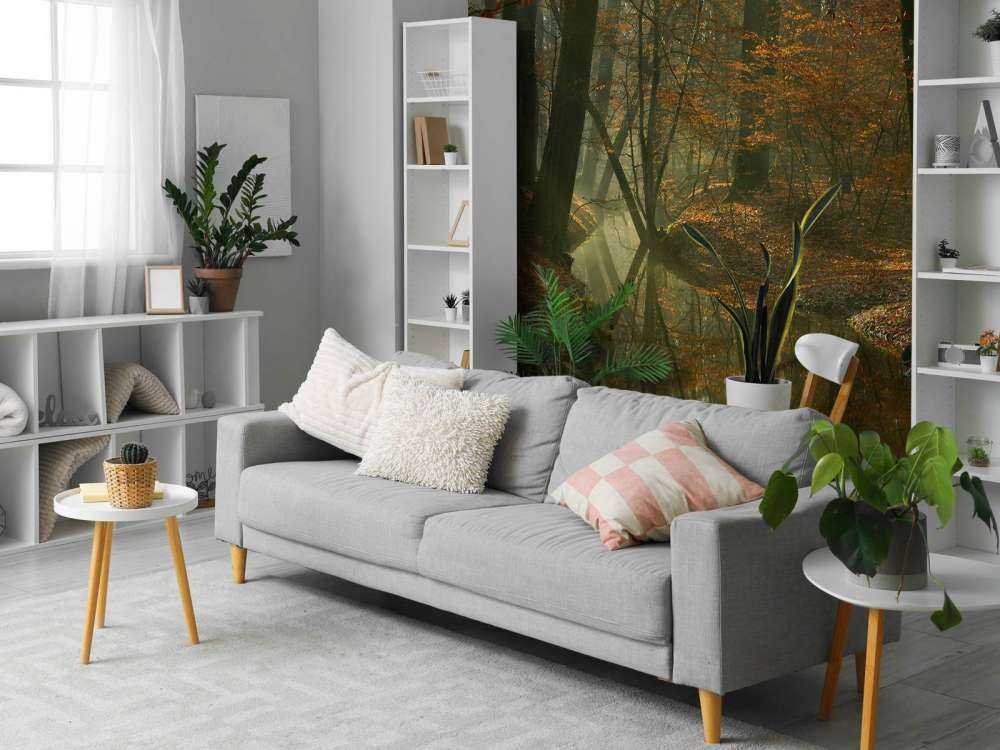 Fiume attraverso la foresta