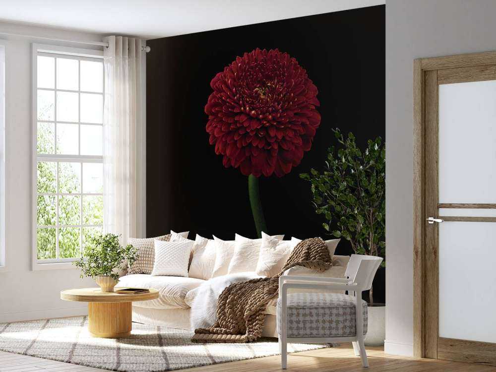 Fiore rosso su stelo