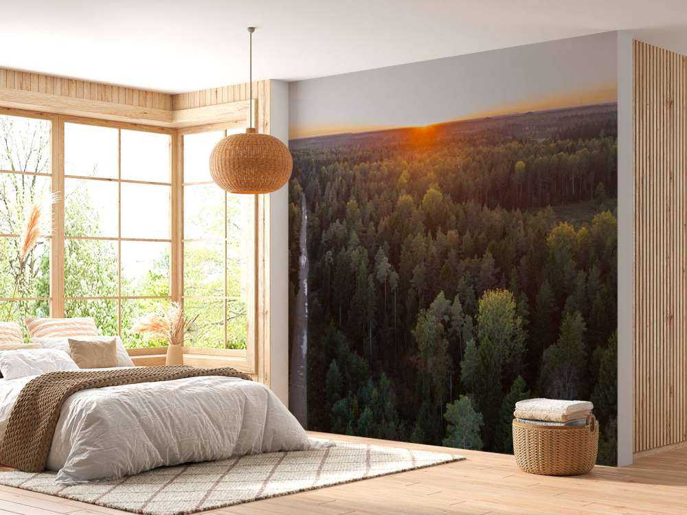 Foto aerea di alberi autunnali