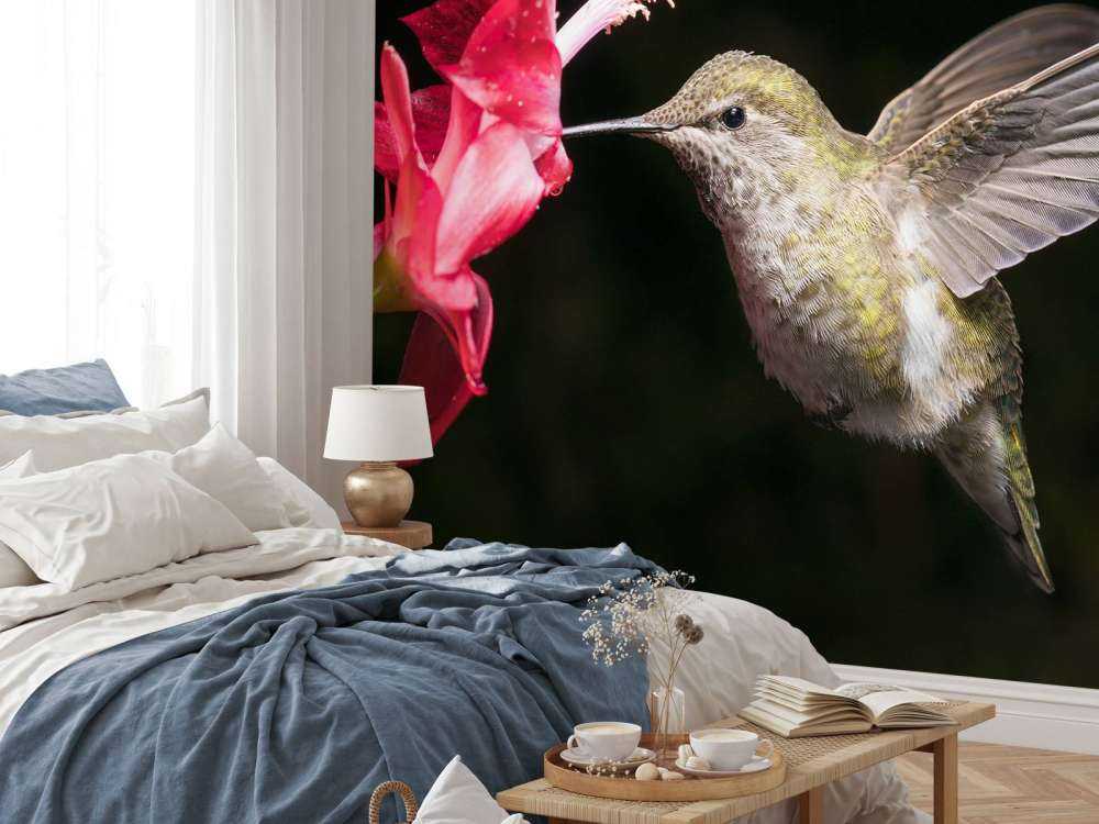 Colibrì con fiore rosso