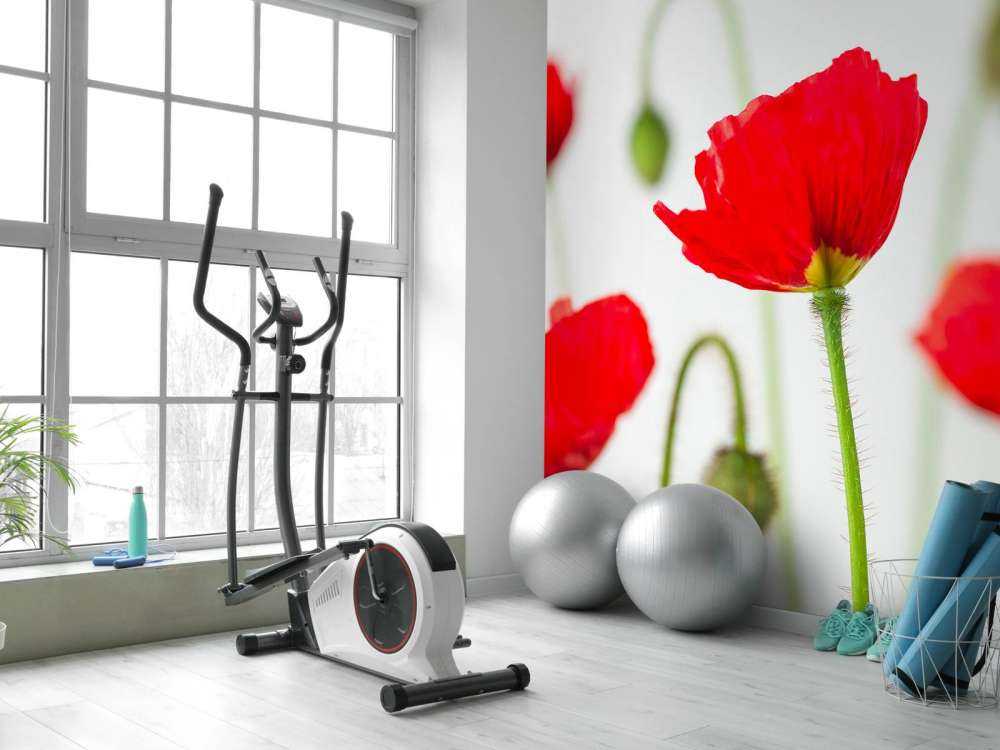 Papaveri rossi ravvicinati