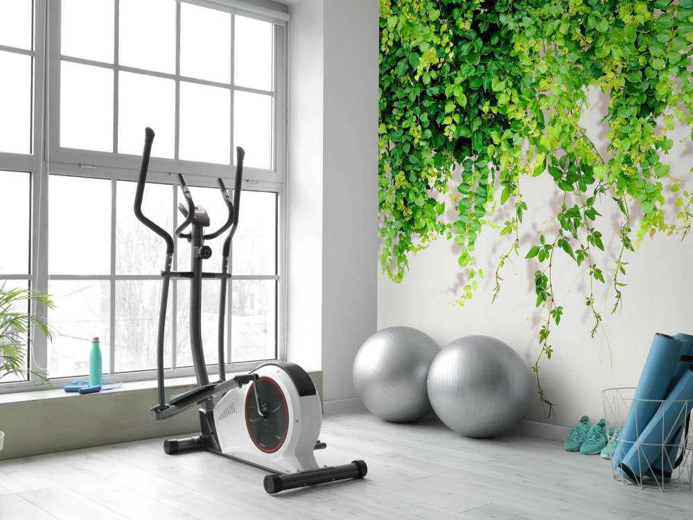 Ramas verdes colgantes