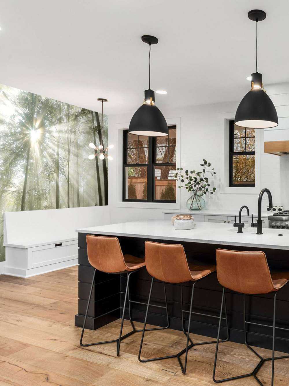 Foresta con la nebbia