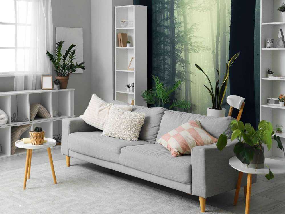 Raggio di sole nella foresta