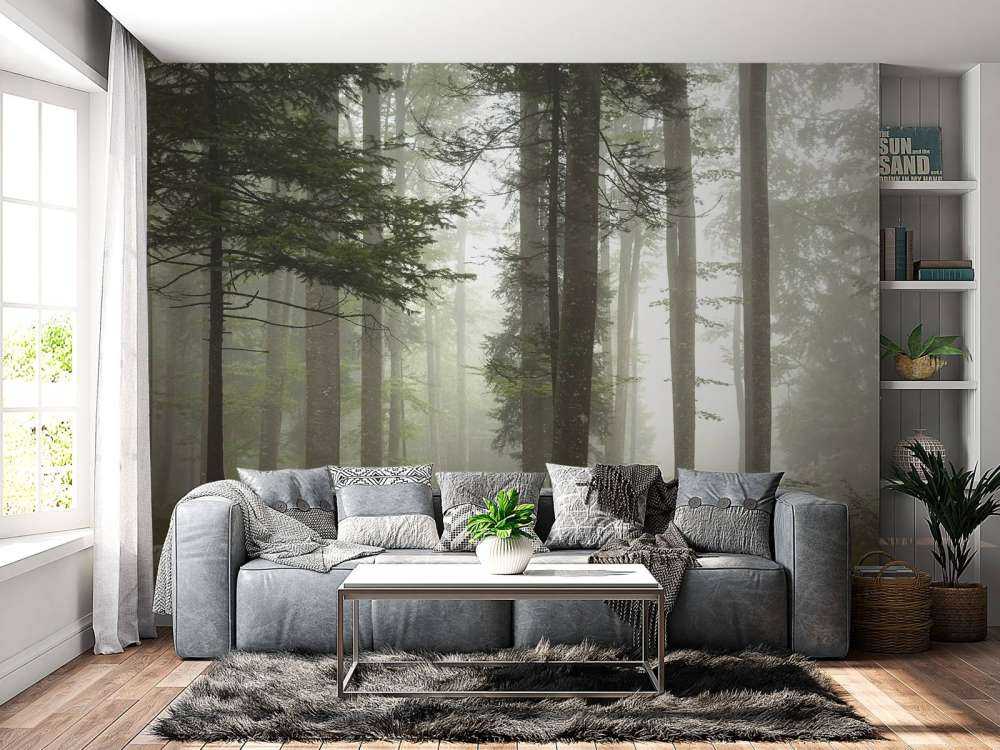 Bellissimo paesaggio nebbioso