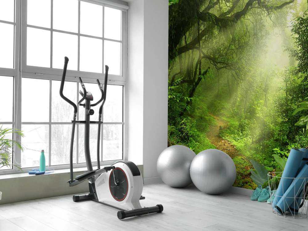 Giungla con raggi di sole