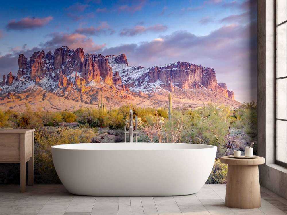 Cactus in un paesaggio montano