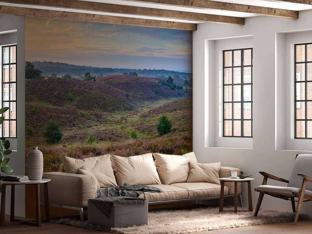 Colline della brughiera