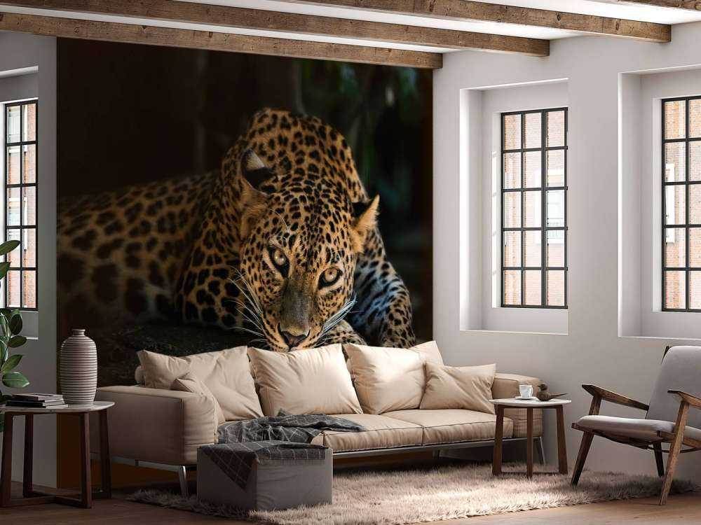 Pantera nella foresta