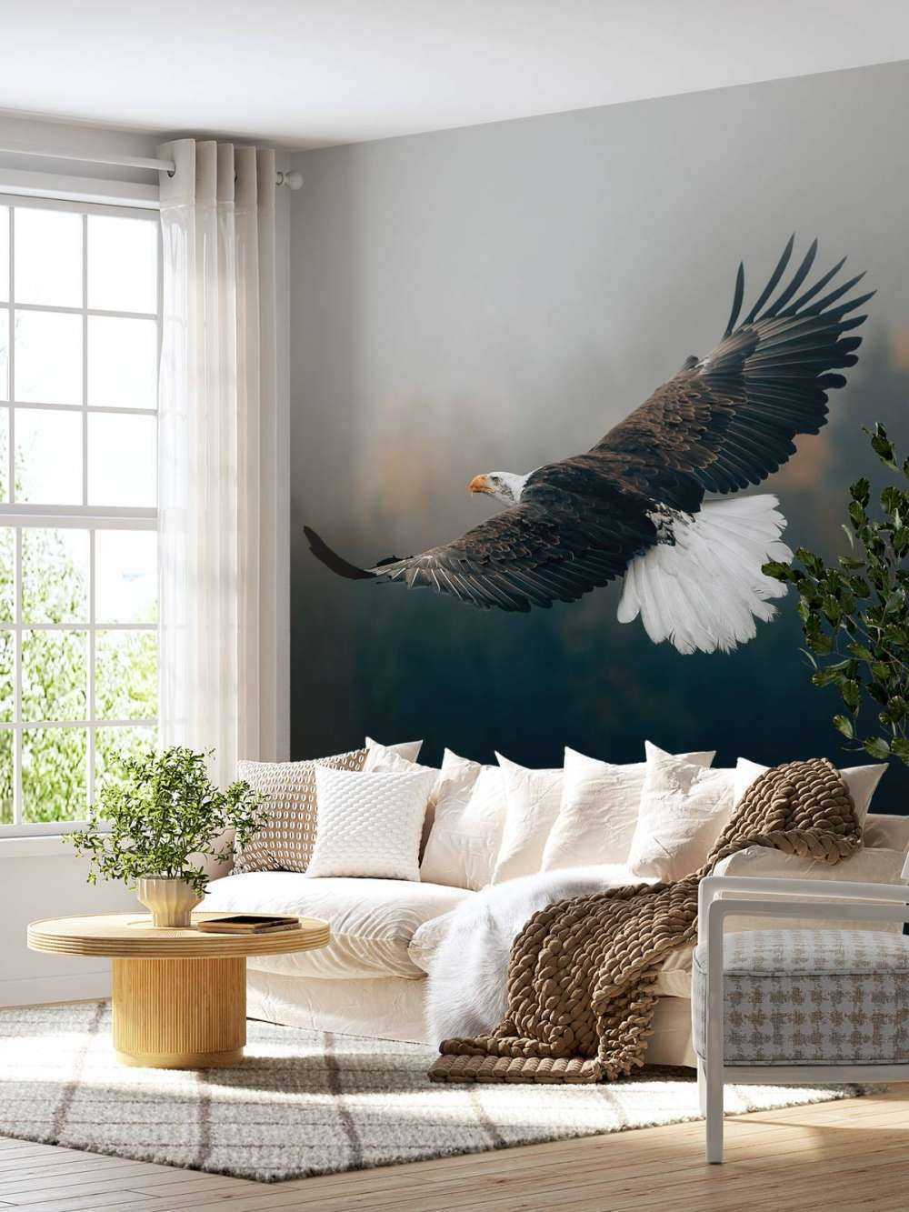 Aquila calva sopra la foresta