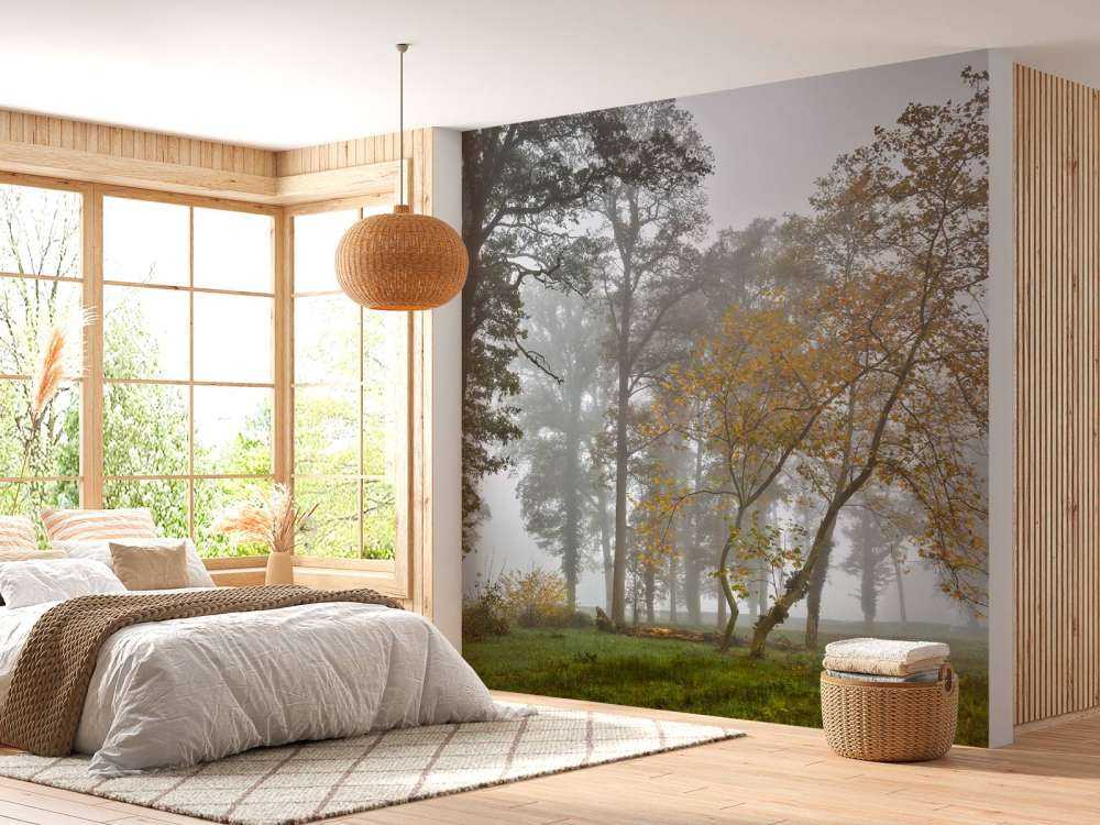 Campo di erba con alberi e nebbia