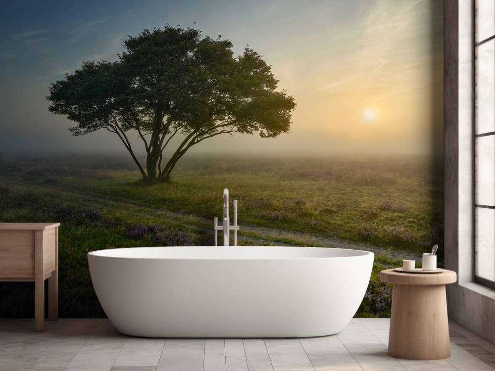 Alba sulla brughiera