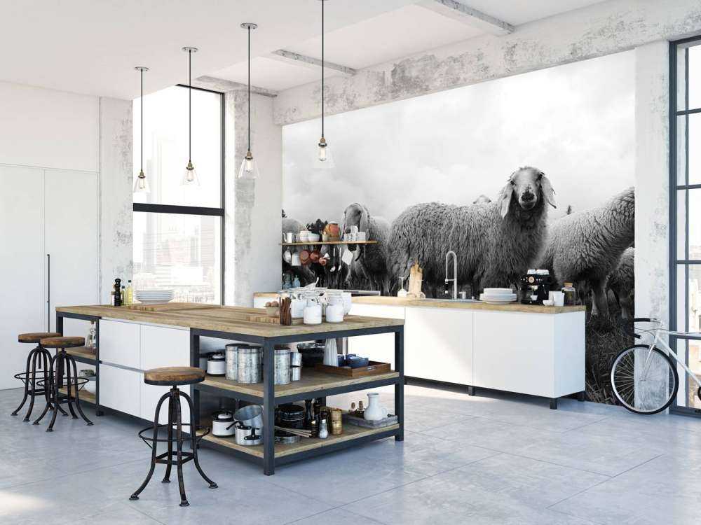 Gregge di pecore in bianco e nero