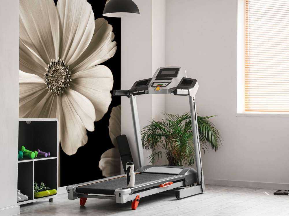 Fiore multiplo di Cosmos