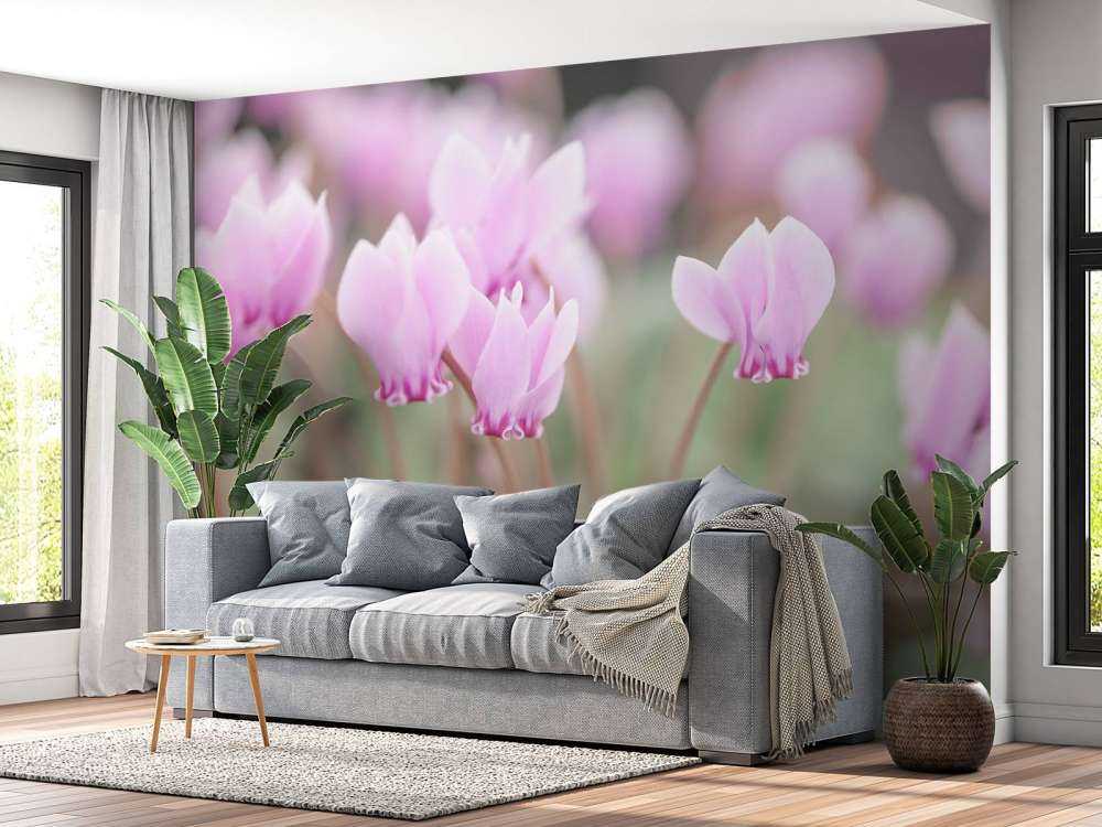 Bellissimi fiori di edera