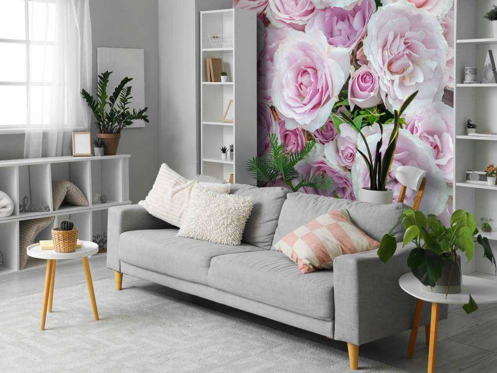 Rose colorate bianche e rosa