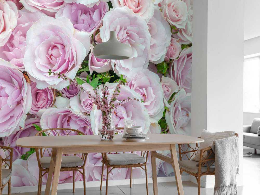 Rose colorate bianche e rosa