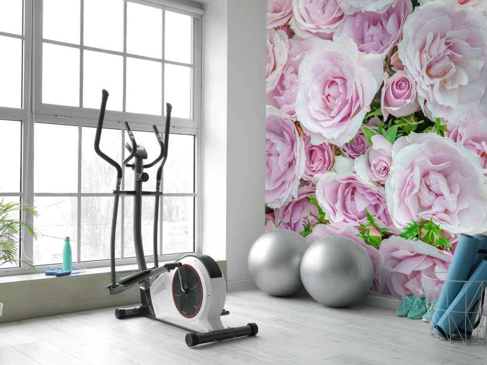 Rose colorate bianche e rosa