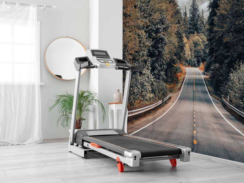 Foresta lungo una strada americana