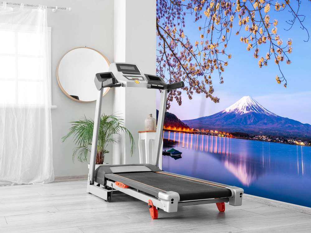 Il Monte Fuji in riva al mare