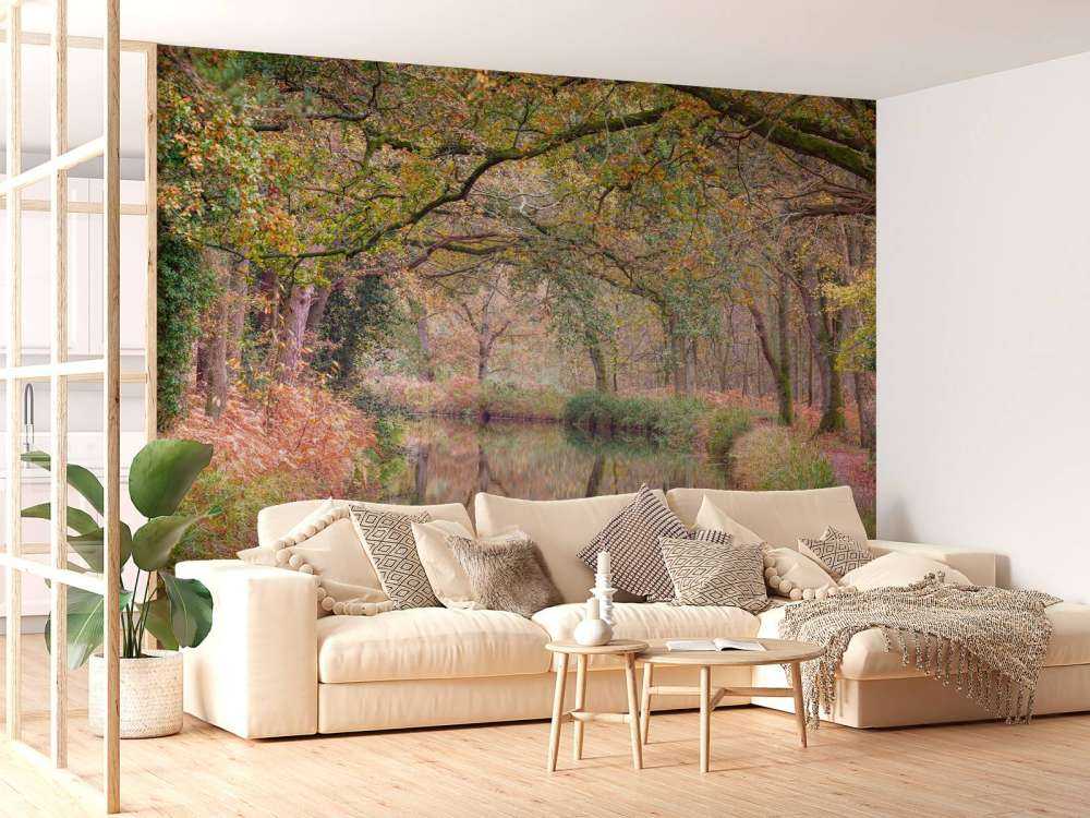 Foresta coperta e colorata