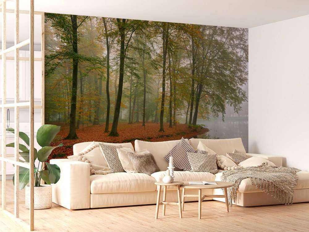 Riflessione degli alberi nello stagno