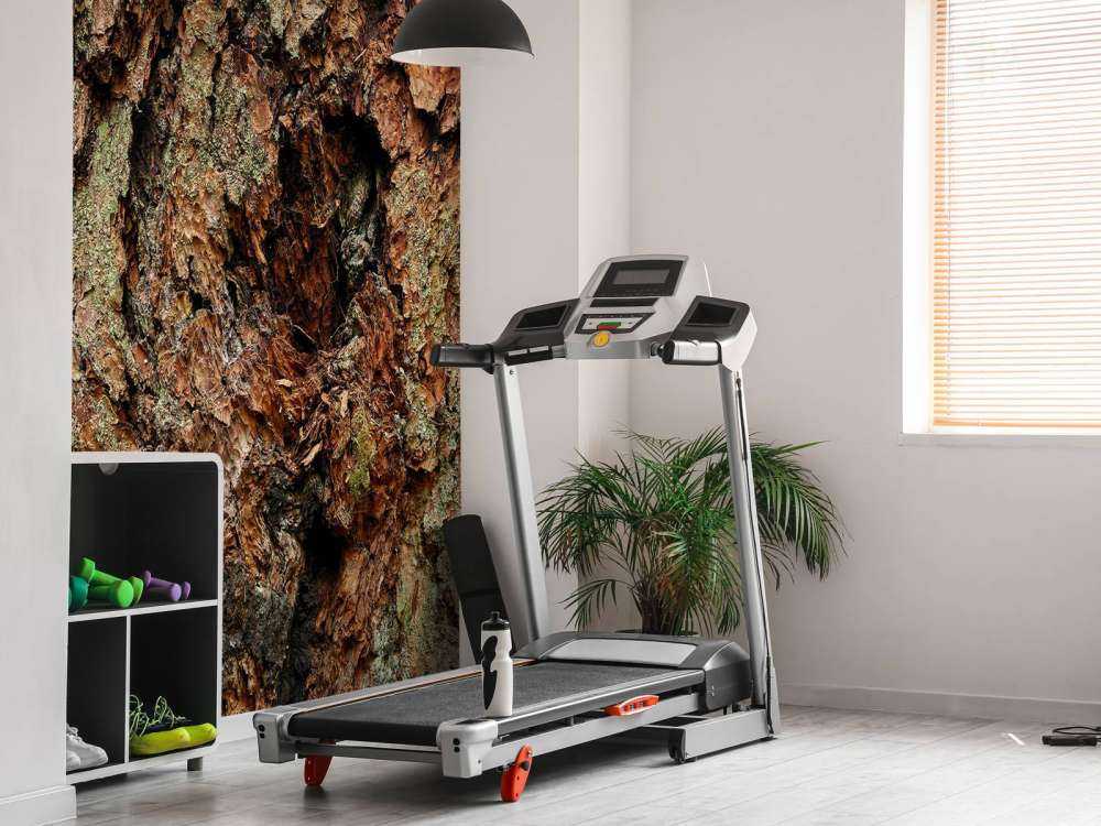 Albero corteccia vecchio albero 