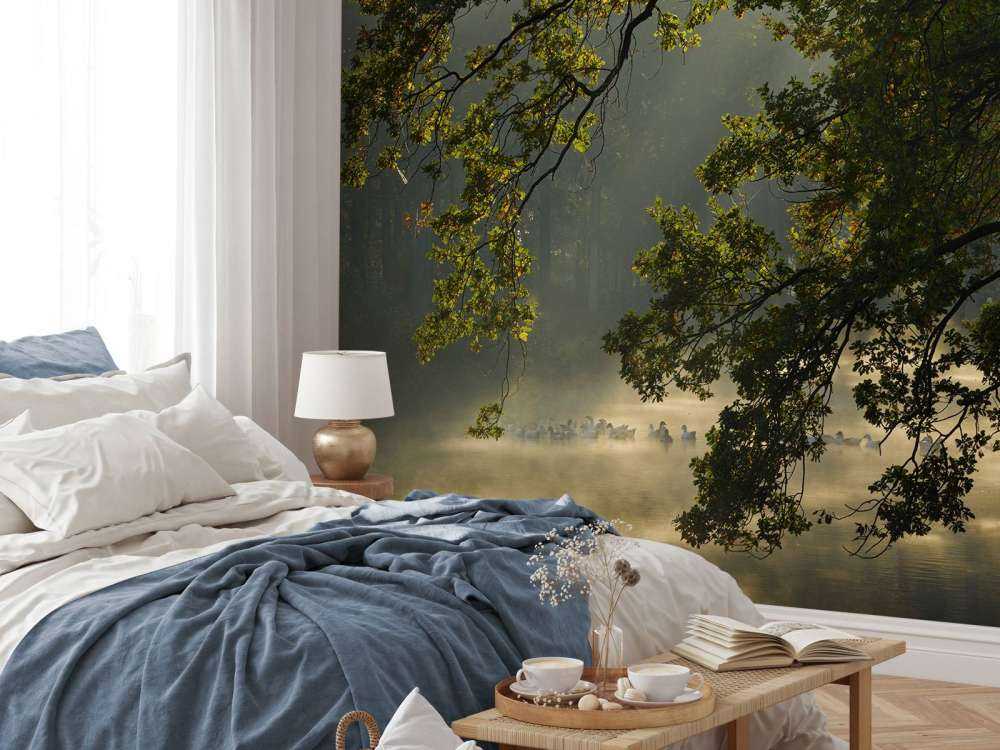 Rami a strapiombo sull'acqua