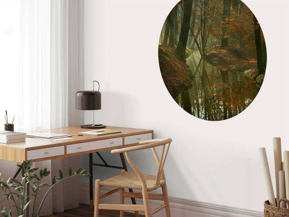 Fiume attraverso la foresta