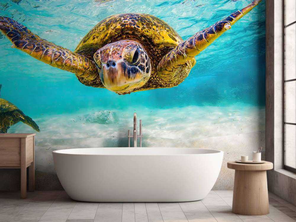 Tartaruga marina nell'oceano