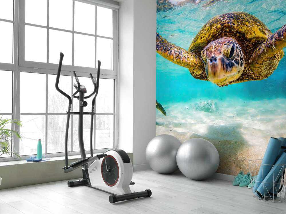 Tartaruga marina nell'oceano