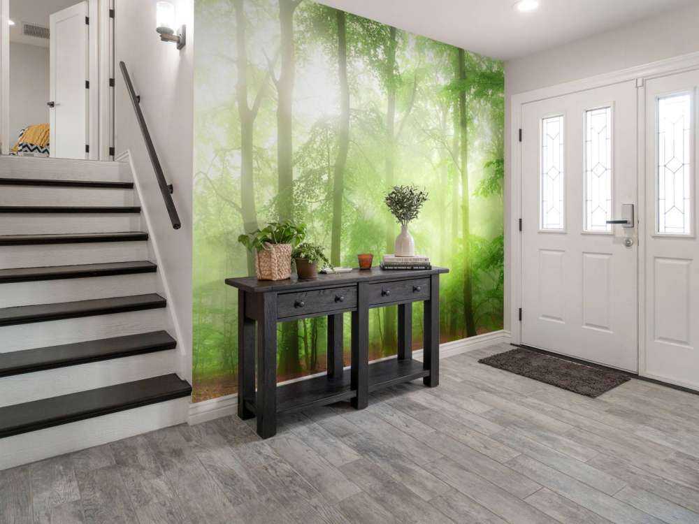 Panorama verde della foresta