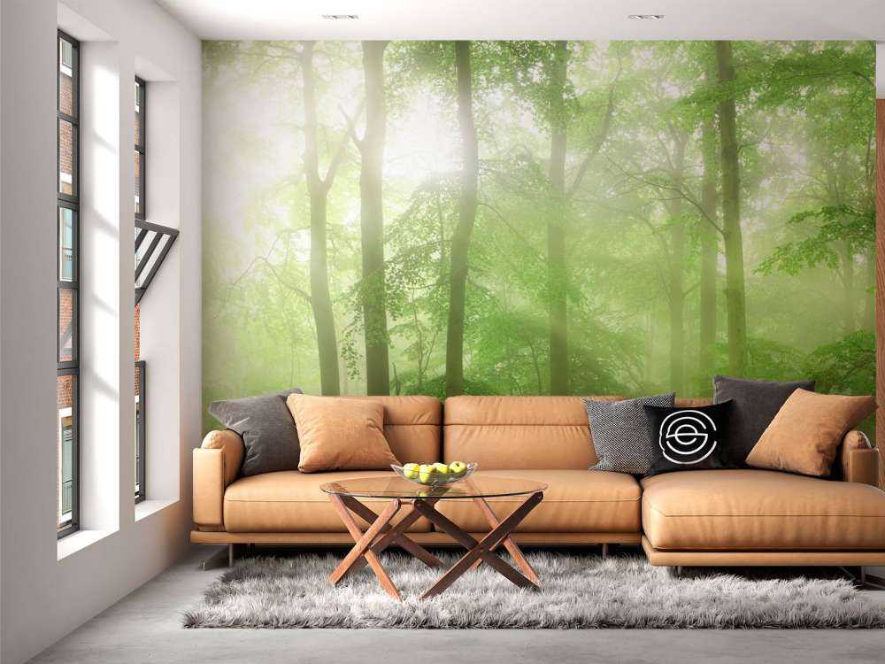 Panorama verde della foresta